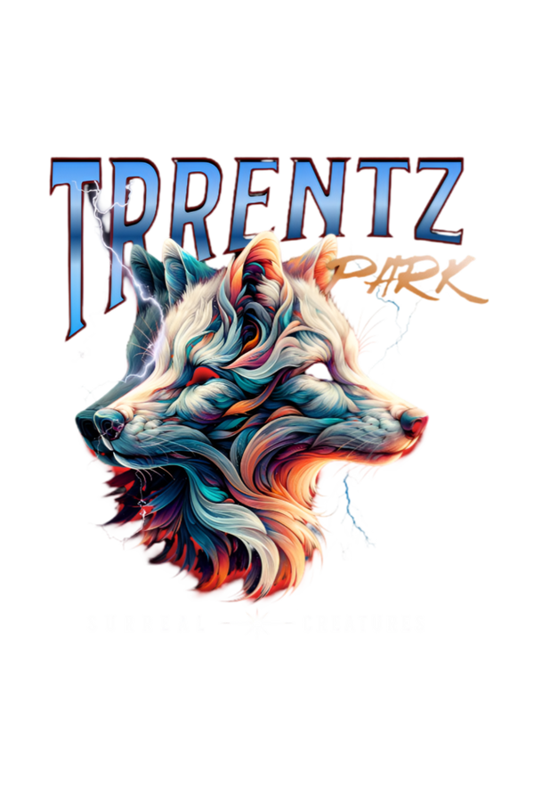 Unisex Trrentz Park Graphic Printed Oversized T-shirt